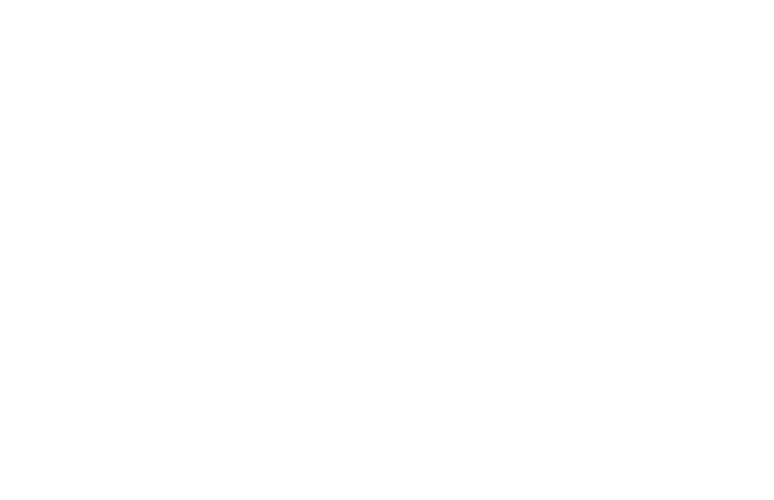 TerraMotus Solutions, Inc.